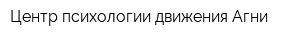 Центр психологии движения Агни