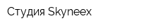 Студия Skyneex