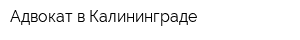 Адвокат в Калининграде