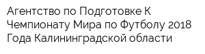 Агентство по Подготовке К Чемпионату Мира по Футболу 2018 Года Калининградской области