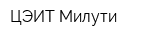 ЦЭИТ Милути