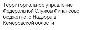 Территориальное управление Федеральной Службы Финансово-бюджетного Надзора в Кемеровской области