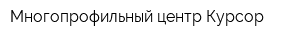 Многопрофильный центр Курсор