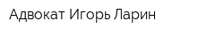 Адвокат Игорь Ларин