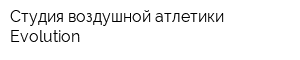 Студия воздушной атлетики Evolution