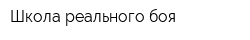 Школа реального боя