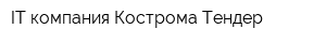 IT-компания Кострома-Тендер