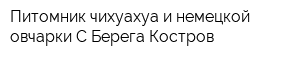 Питомник чихуахуа и немецкой овчарки С Берега Костров