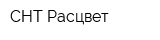 СНТ Расцвет