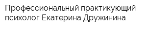 Профессиональный практикующий психолог Екатерина Дружинина