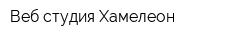 Веб-студия Хамелеон