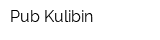 Pub Kulibin