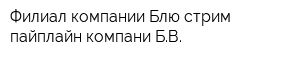 Филиал компании Блю стрим пайплайн компани БВ