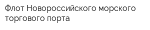 Флот Новороссийского морского торгового порта