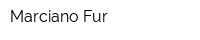 Marciano Fur