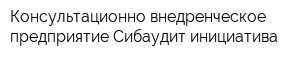 Консультационно-внедренческое предприятие Сибаудит инициатива