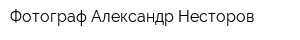 Фотограф Александр Несторов