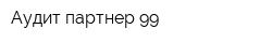 Аудит партнер-99