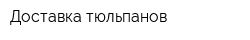 Доставка тюльпанов