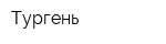 Тургень