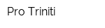 Pro-Triniti