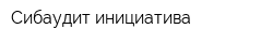 Сибаудит инициатива