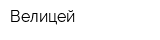 Велицей