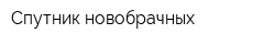 Спутник новобрачных