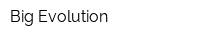 Big Evolution