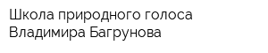 Школа природного голоса Владимира Багрунова