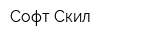 Софт Скил