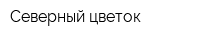 Северный цветок