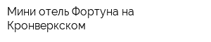Мини-отель Фортуна на Кронверкском