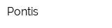 Pontis