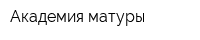 Академия матуры