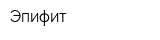 Эпифит