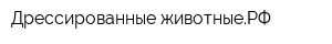 Дрессированные-животныеРФ