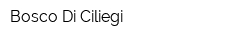 Bosco Di Ciliegi