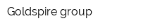 Goldspire group