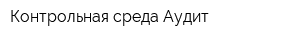 Контрольная среда-Аудит