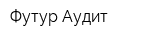 Футур Аудит