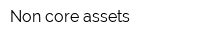 Non-core assets
