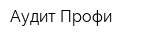 Аудит Профи