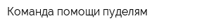 Команда помощи пуделям