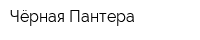 Чёрная Пантера