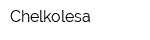 Chelkolesa