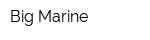 Big Marine
