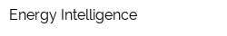 Energy Intelligence