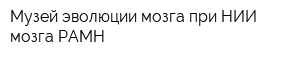Музей эволюции мозга при НИИ мозга РАМН