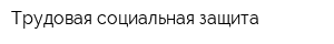 Трудовая социальная защита